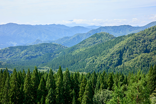 統計から見える高知の暮らし